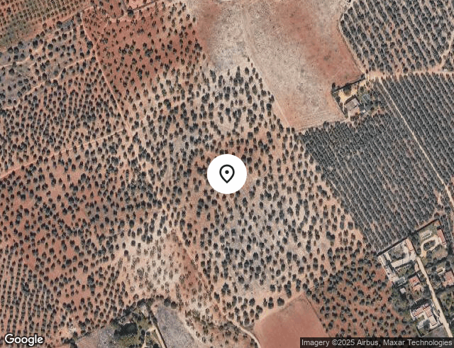 Terreno en Lugar Sitio del Castillo D